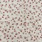1 Yard Stretch Cotton Twill Print Rust and White Dandelion Floral Feeling Dandy Fabric